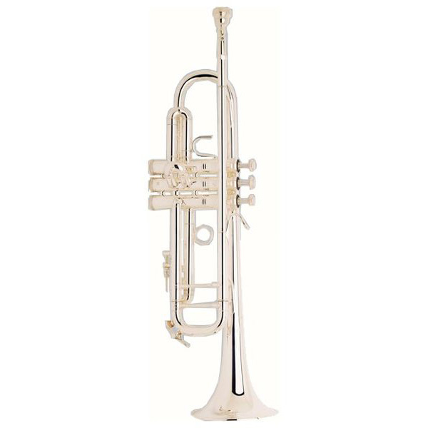 18043 (XL) Stradivarius - 105593.